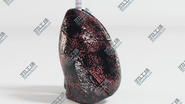 images/goods_img/20210312/3D Respiratory System Smoker's Lungs heavy stage/5.jpg